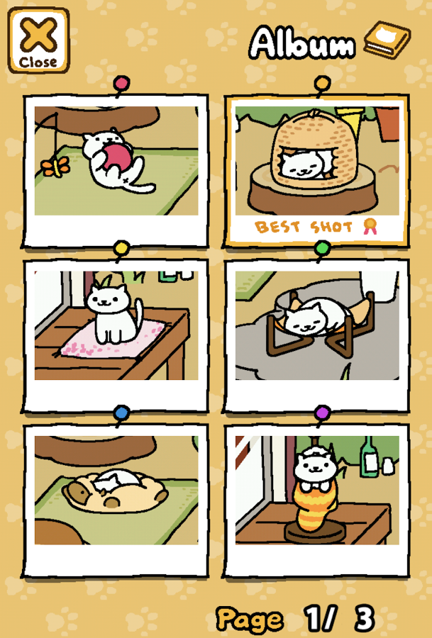 ռèèNeko Atsume: Kitty Collectorv1.4.5 ٷ