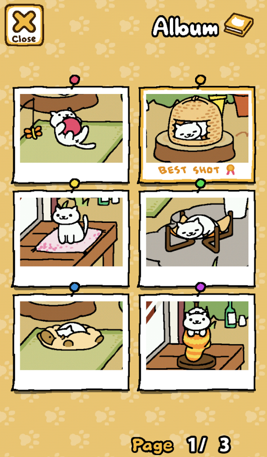 ռèèNeko Atsume: Kitty Collectorv1.4.5 ٷ