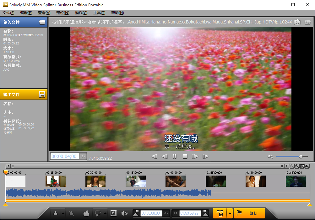 SolveigMM Video Splitter 绿色版5.2.1602 Business Edition