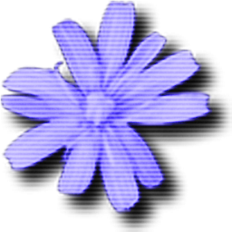 Cloanto C64 Forever Plus Edition2016.0.19.0 ƽ