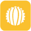 appv2.0.0 ٷ