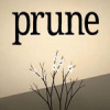 ޼Prunev1.0.61 ׿