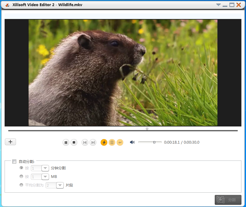 Xilisoft Video Editor ƽ2.20 İ