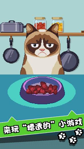 Grumpy Cat(ˬèʷϷֻ)v1.0.3 İ