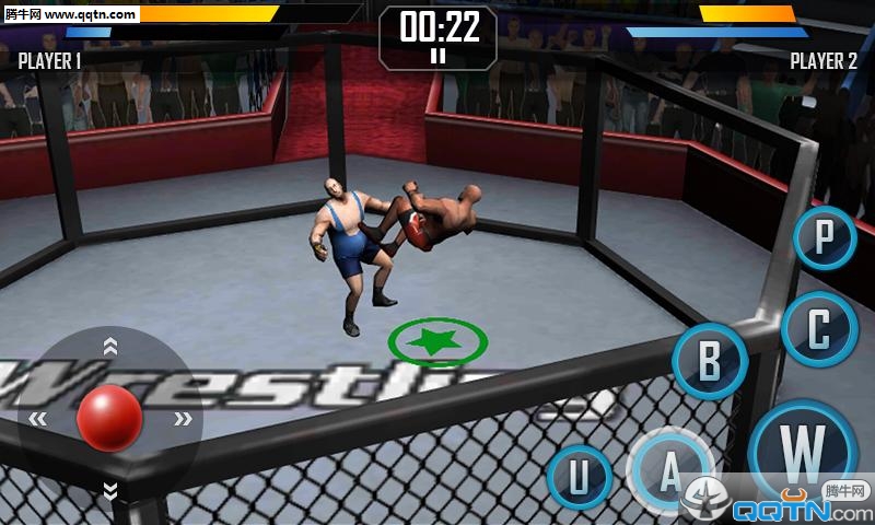 ʵˤϷReal Wrestling 3Dv1.3.4 °