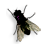 ƶС1.0 °