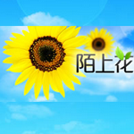 陌上花论坛手机版下载v1.0 Android版