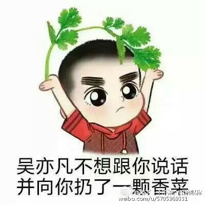 吴亦凡不想和你说话表情包下载