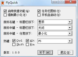 FlyQuick()1.0 ɫ