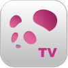 èTVֻv1.3.7 ٷ