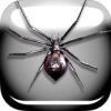 蜘蛛恶作剧苹果版下载v1.0 官方版