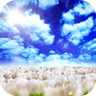 Blue Skies Freeƶֻֽ̬v1.0.7 ׿