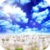 Blue Skies FreeƵ氲׿v1.0.7 °