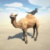 Dune Simulator(ɳģ׿)v1.0 ׿