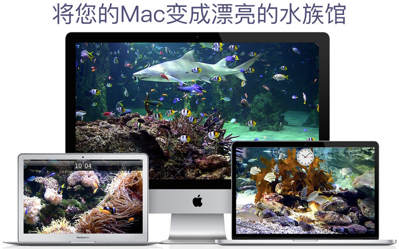 ˮHD MAC