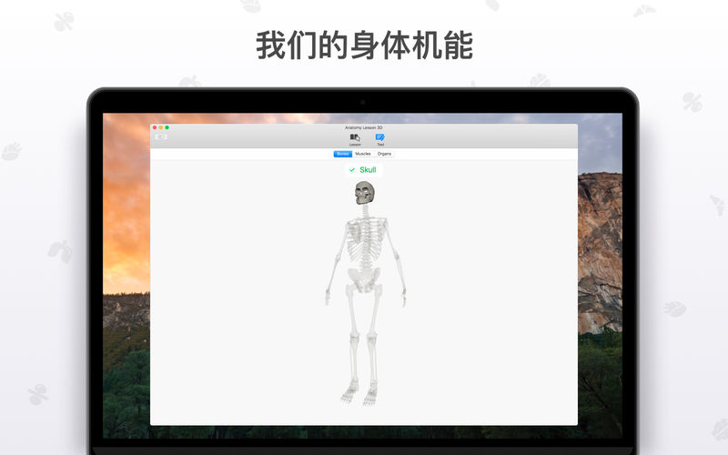 ʿ3Dmacv1.1.0 °