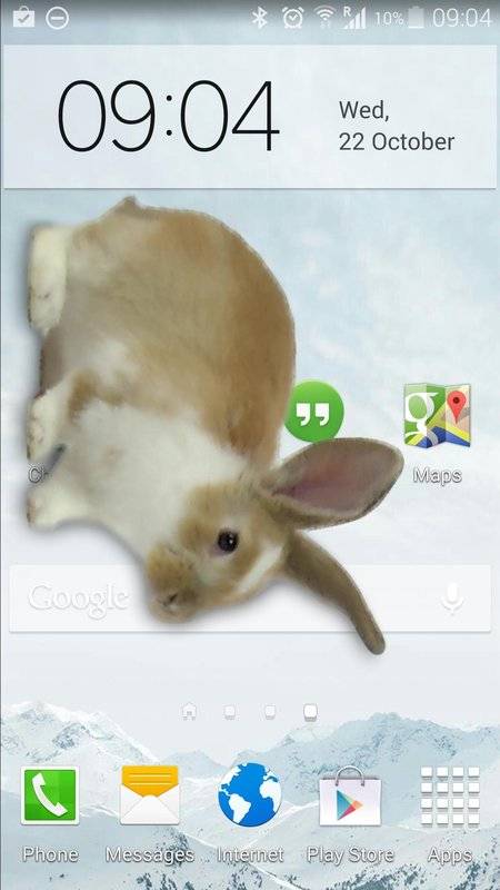 Bunny In Phone Cute joke兔子在手机可爱的笑话中文版v1.1 最新版