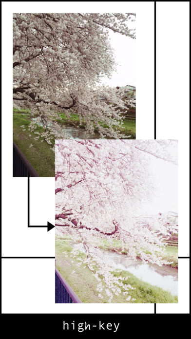 Macaron Film软件下载v2.0.0 安卓版