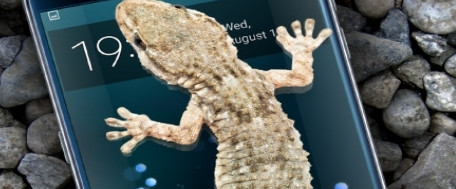 Gecko in Phone Scary joke壁虎在手机上爬APP下载v1.0 免费版