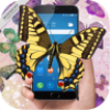 Butterfly in Phone Lovely jokeֻĻһȺAPPv1.0 ʽ