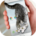 ɰè̬ĻCat Walks in Phone Cute jokev1.1 ׿