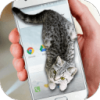 Cat Walks in Phone Cute jokev1.0 °