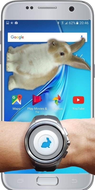 bunny in phone cute jokeİv1.0 ׿