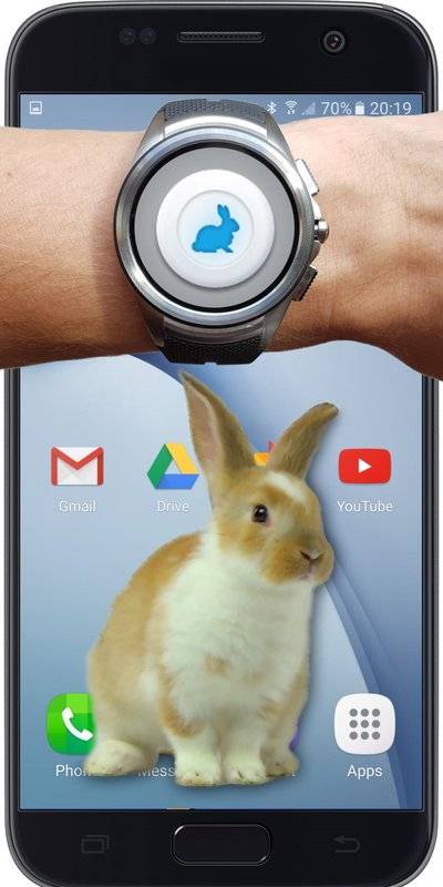 手机上养兔子的软件Bunny In Phone Cute jokev1.1 免费版