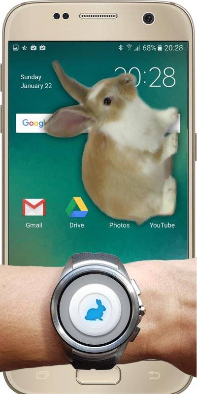 手机上养兔子的软件Bunny In Phone Cute jokev1.1 免费版