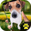 iDog - Ļ϶̬v1.2 Ѱ