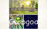 Gorogoa