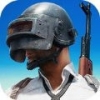 Last Survive - Chicken Dinner(Ӣжڹƽ)v1.0 ׿