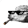 Thug life photo sticker makerīѩЧappv3.04 ׿