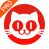 èרҵʵʱƱͳƷappv3.9.0 ٷ