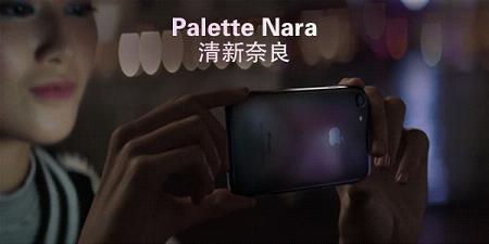 Palette NaraC(j)