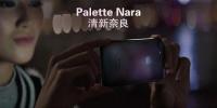 Palette Nara