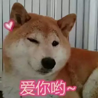 dogeͨС