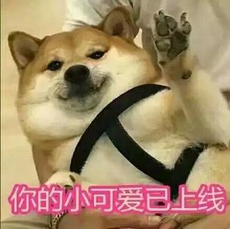 dogeͨС