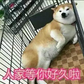 dogeͨС