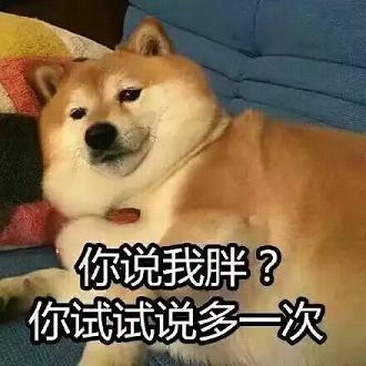 dogeͨС