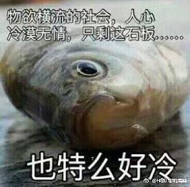 Ĺˮӡ
