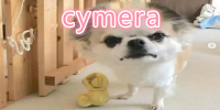 cymera