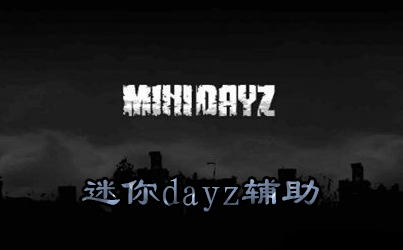 DAYZ-DAYZ-DayZ޸