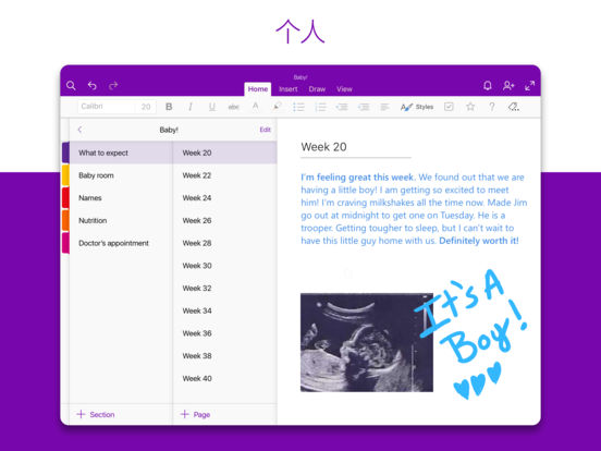 Microsoft OneNote iPadv16.3.1 ٷ