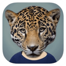 Animal FaceԴv2.5.3 °