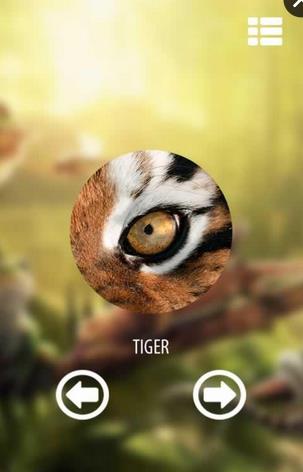 Vision animal simulator(ӾģϷ)v1.0 ׿