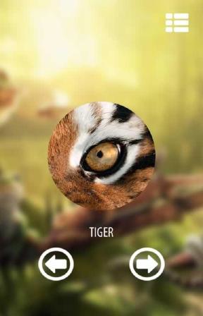 Vision animal simulator(Զȴֶģ)v1.0 Ұ