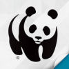 WWF Togetherֽ°v1.1.0 ٷ