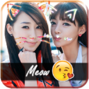 Cat Face Picture Filters猫脸图片过滤器app下载v1.0 最新版