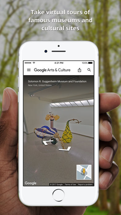 Google Arts Culture׿v6.0.5 °